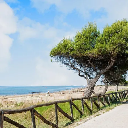 Villa Bright Two-storey Flat